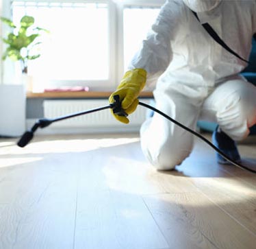 Best Pest Control Company in Kolkata