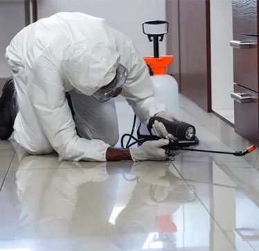 Best Pest Control Company in Kolkata